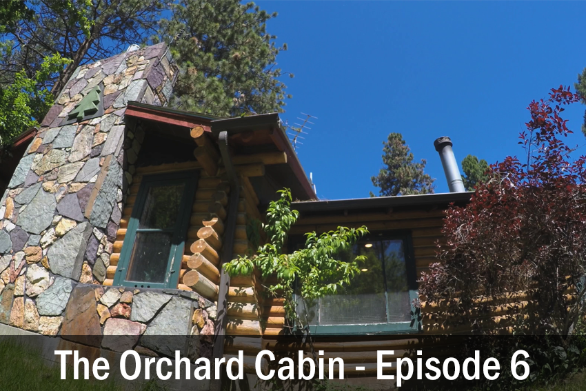 The Orchard Cabin
